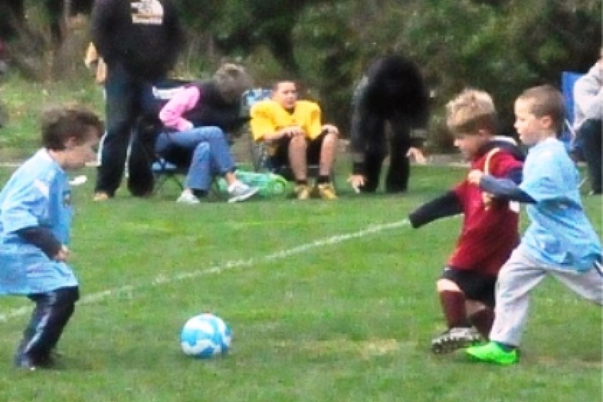 10-03-2015 Top Shot Photo 5