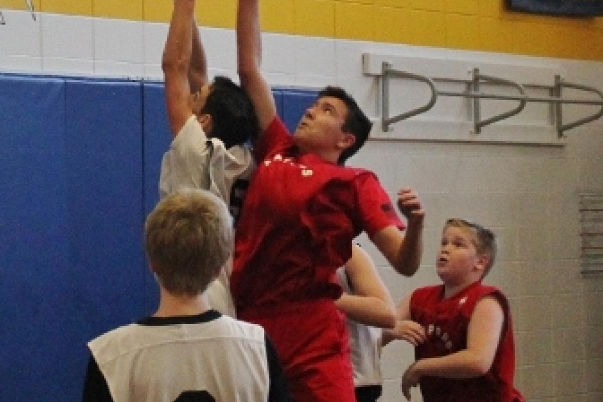 01-02-2016 Top Shot Photo 11