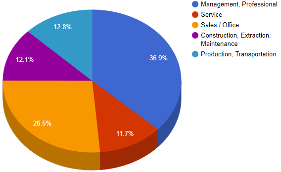 Occupations Chart Pic
